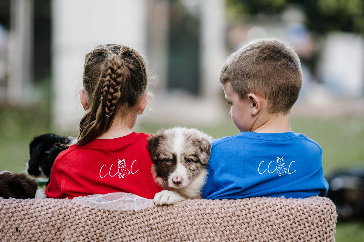 Rescue Animals, Foster Hope, Adopting Hearts (Childrens)