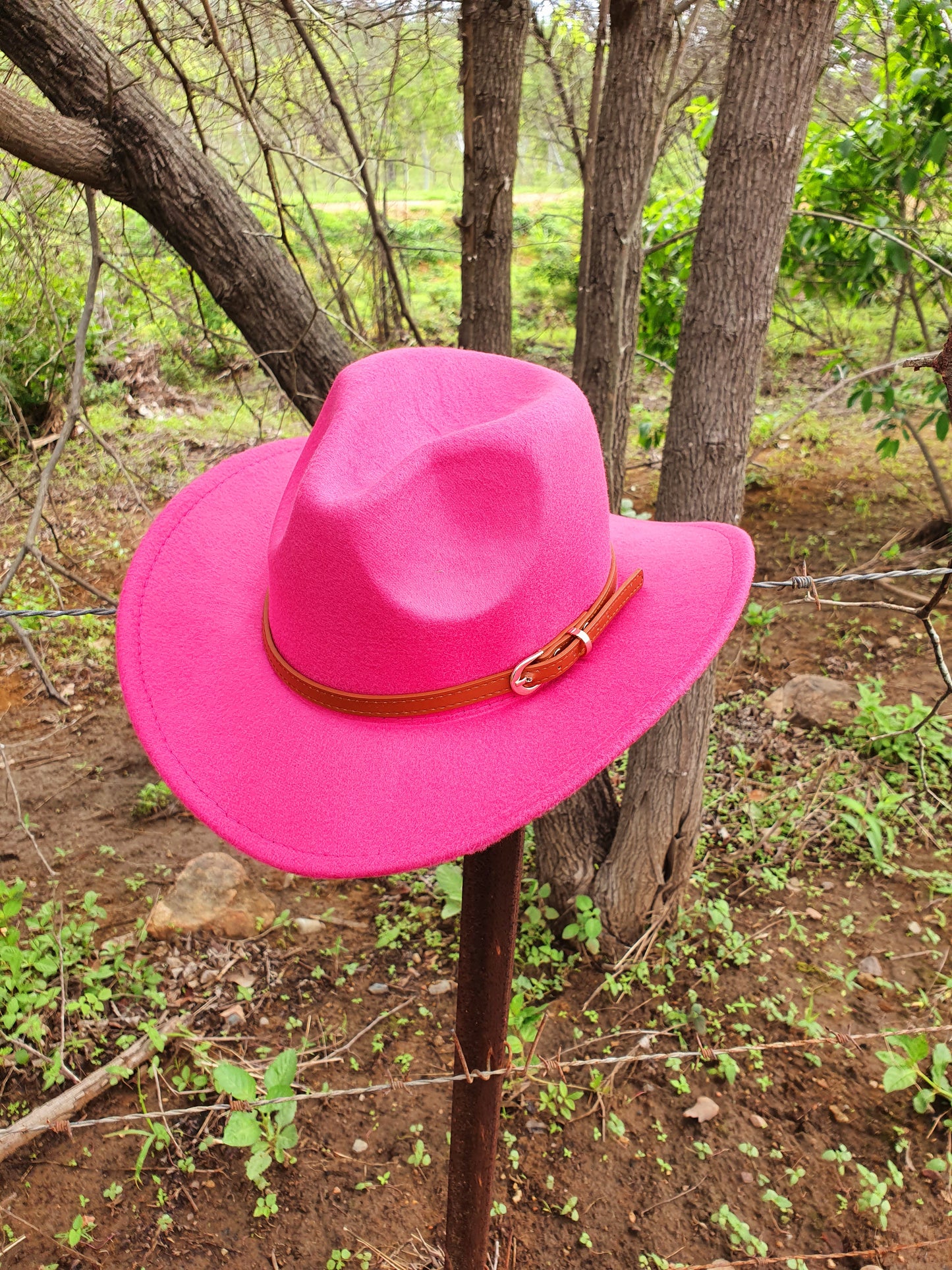 CC Buckle Up Hats